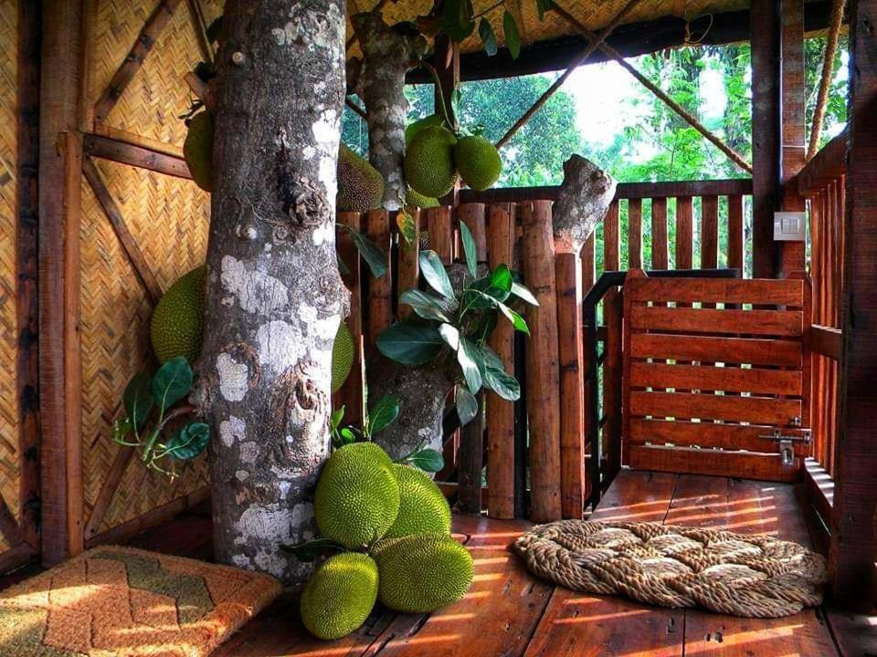 Greens Tree House & Wood House Султан Батери Екстериор снимка