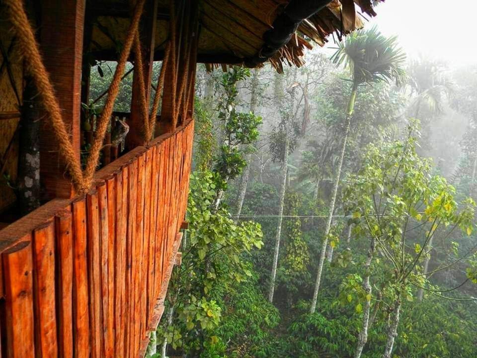 Greens Tree House & Wood House Султан Батери Екстериор снимка